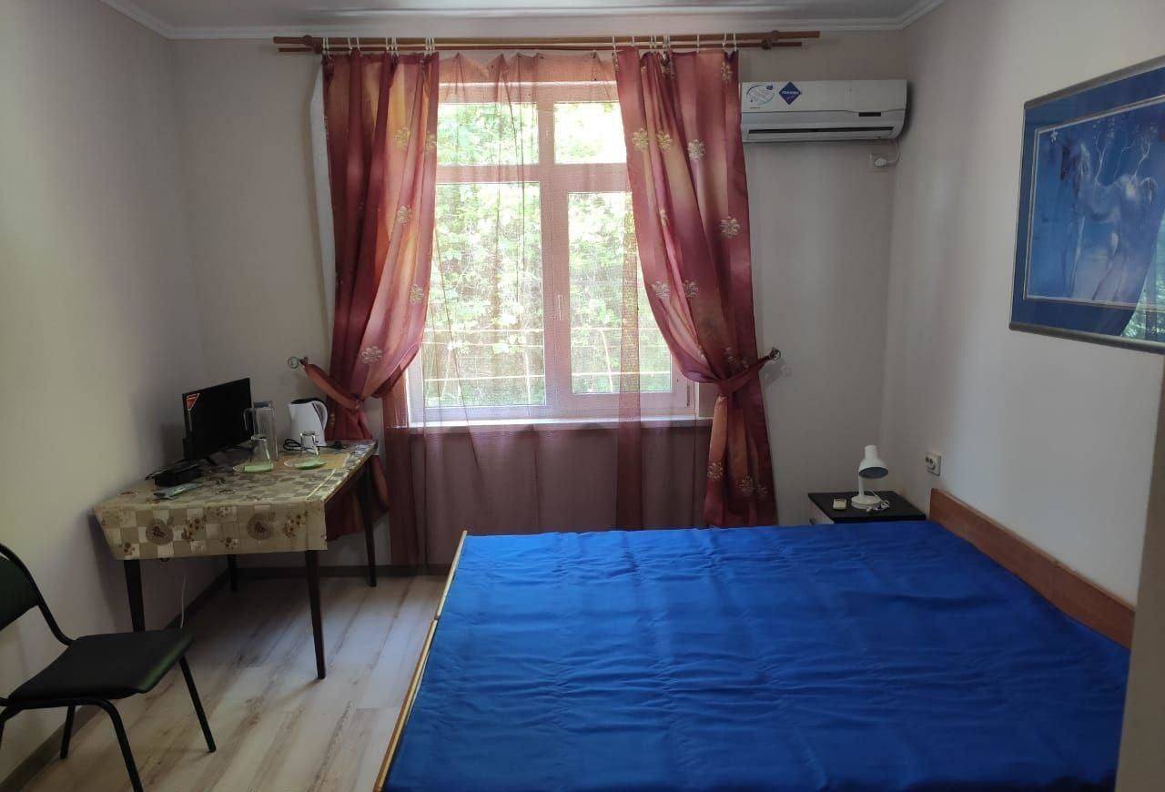 Фотографии номера Большой двухместный номер с 1 кроватью в Гостевом доме Мини Отель Багрыпста Цандрыпш